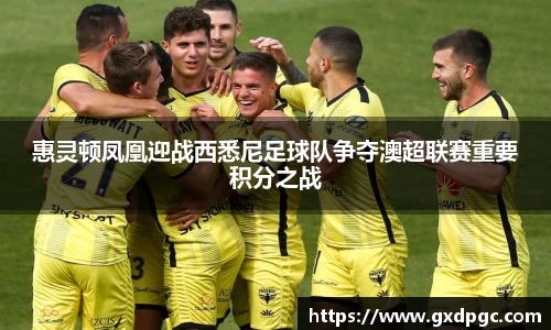 惠灵顿凤凰迎战西悉尼足球队争夺澳超联赛重要积分之战